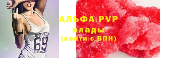 скорость Новодвинск