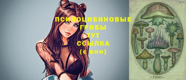 a pvp Новозыбков