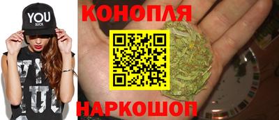 Альфа ПВП Новокубанск