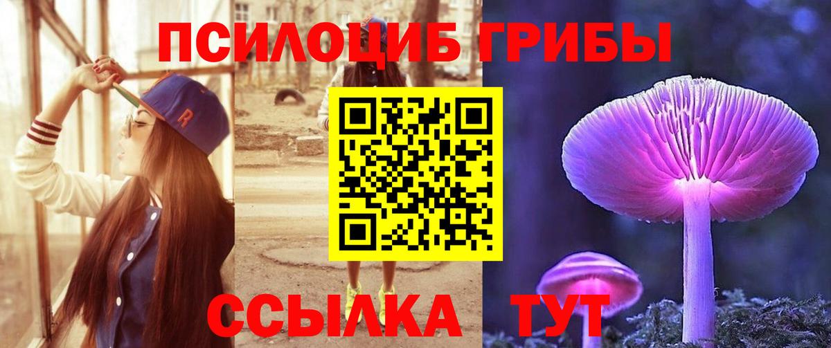 Чебаркуль  Галлюциногенные грибы Cubensis  Вход с VPN 
